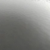unknown