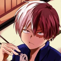 Shoto Todoroki