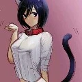 mikasa