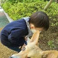 itenori Keponakan Okatani