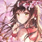 kimi