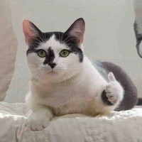  แอด