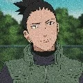 SHIKAMARO