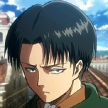 Levi