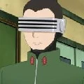 Shino Aburame
