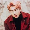 kim namjom