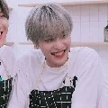 yangyang