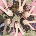 All LYS