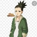 shikadai