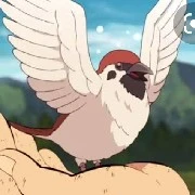 Chuntaro