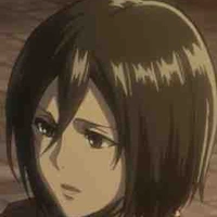 Mikasa Akkaman