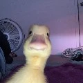 eu/autora