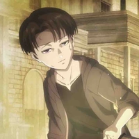 Young Levi 