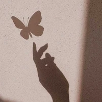 your author≧∇≦