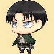 levi
