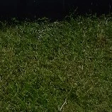 Barengan