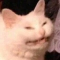 แอด