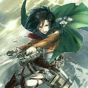 mikasa