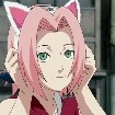 sakura