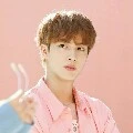 Jin