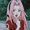 sakura