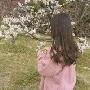 Stella