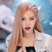 Rose manoban