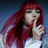 lisaa