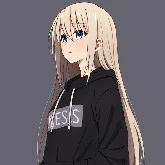 Y/N