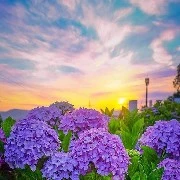 ทุกคน