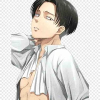 Levi