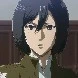 Mikasa