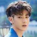 Tao (ML)
