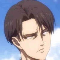 Levi