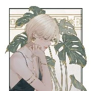 y/n💛