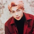 namjoon/rm manoban {kk keempat lisa}