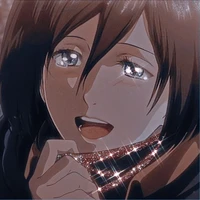 Mikasa