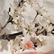 ทุกคน