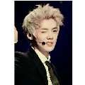 Luhan petrisia