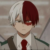 todoroki(omega