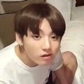 Author Vantae(Great brainy with 144 IQ)
