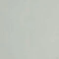 Painter