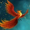 Fiery (FL PHOENIX)