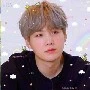 Suga