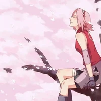 sakura