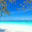 ทุกคน