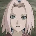 sakura