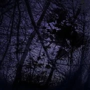 Demon Vampir