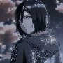 Mikasa