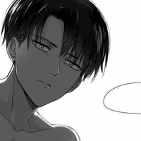 Levi